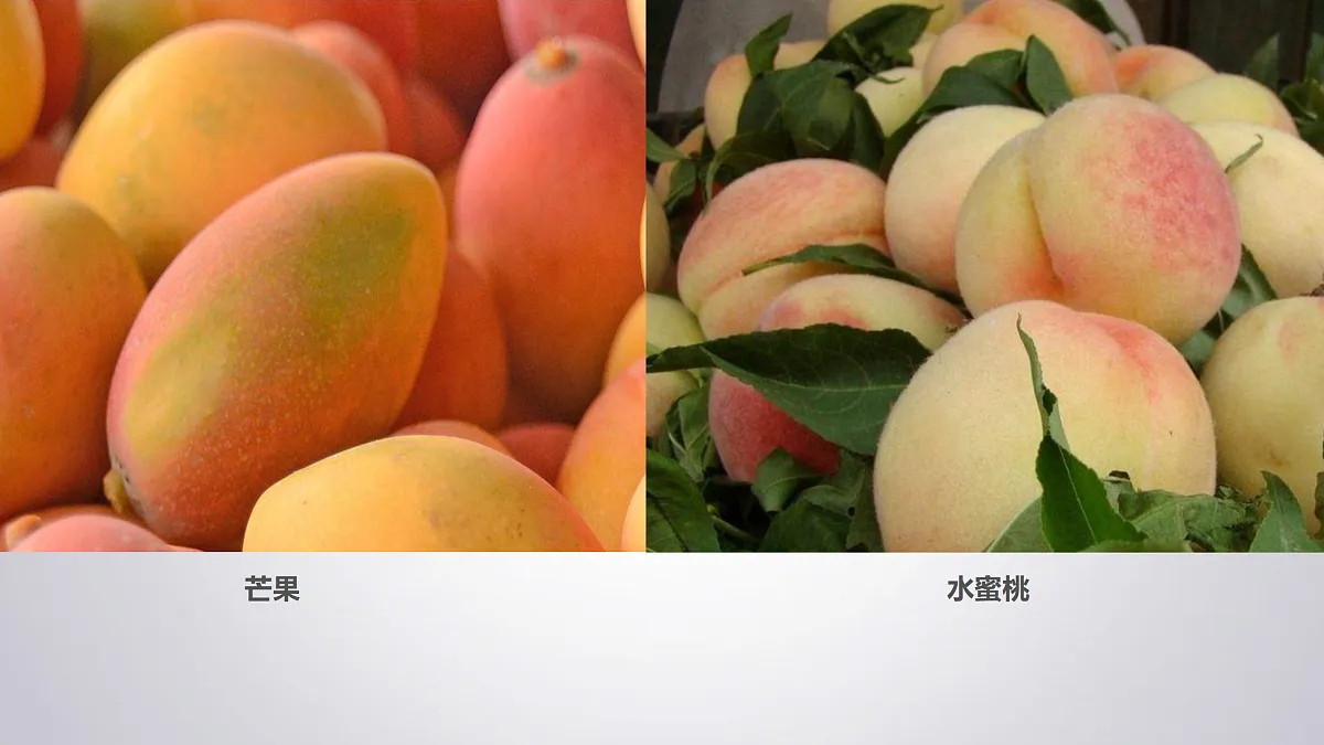 17521453第3页
