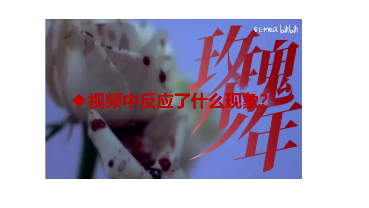 17521809第3页