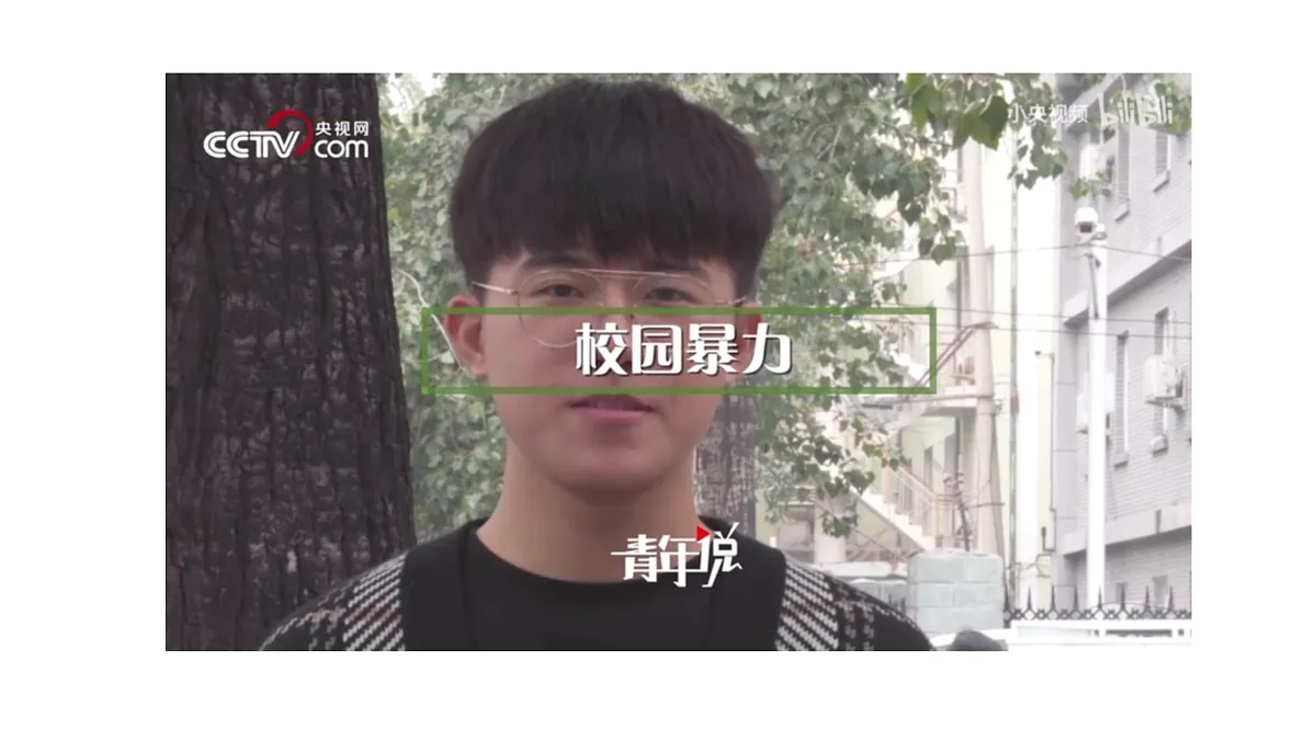 17521809第5页