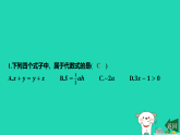 2025秋七年级数学上册第3章代数式3.2代数式的概念第1课时代数式的概念习题课件新版苏科版（含答案）