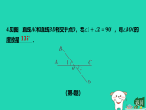 2025秋七年级数学上册第6章平面图形的初步认识6.3相交线第1课时对顶角习题课件新版苏科版（含答案）