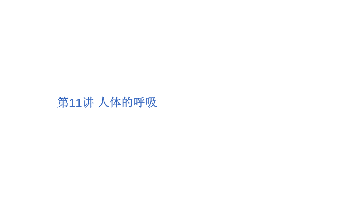 17525625第1页
