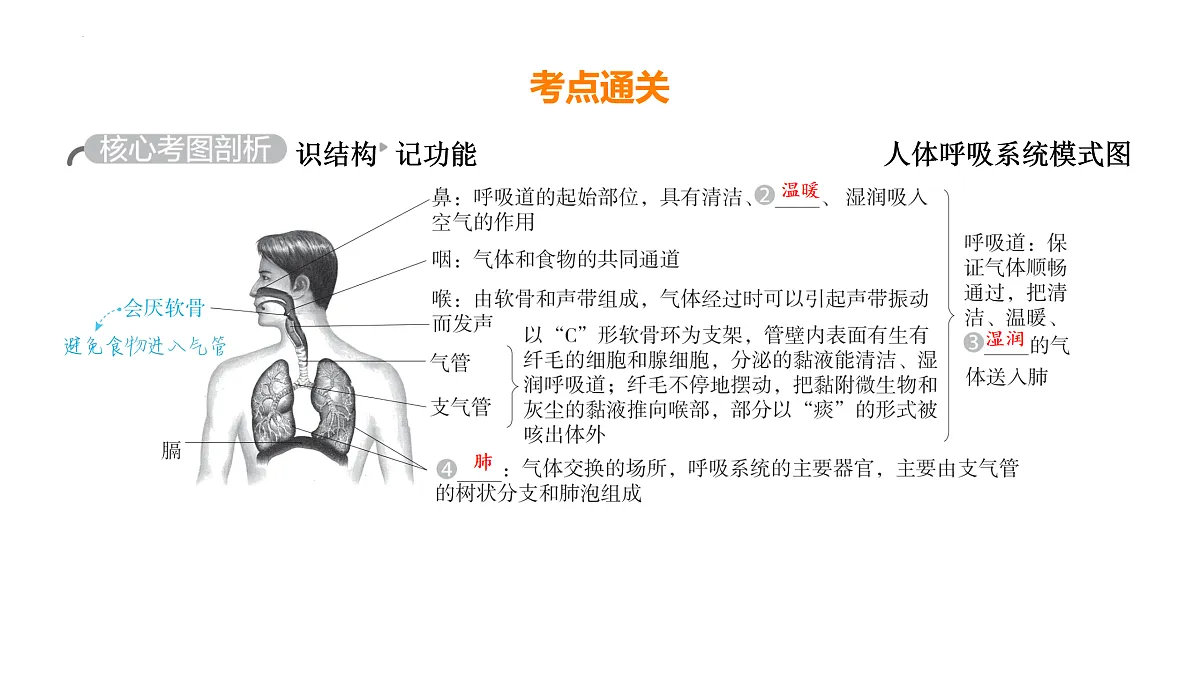 17525625第3页