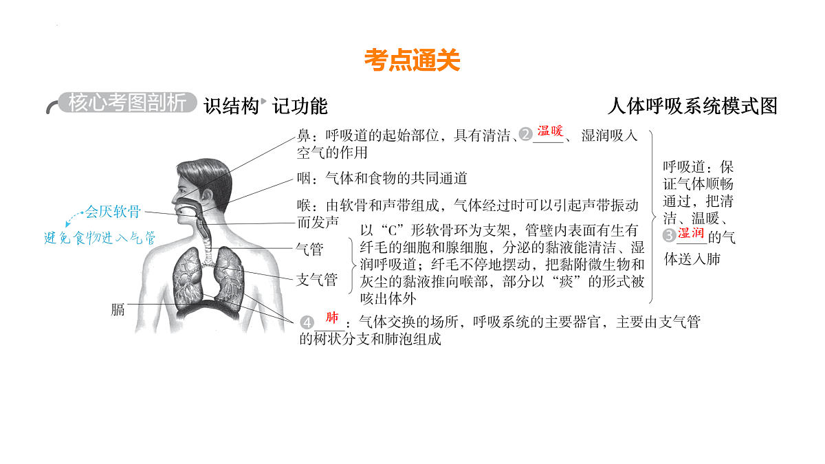 17525625第3页