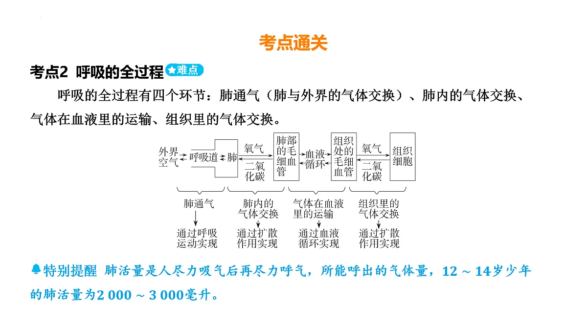 17525625第4页