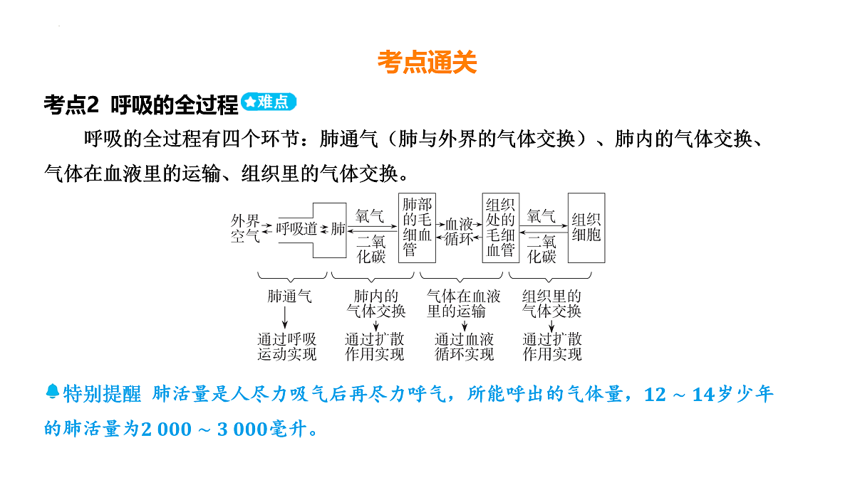 17525625第4页