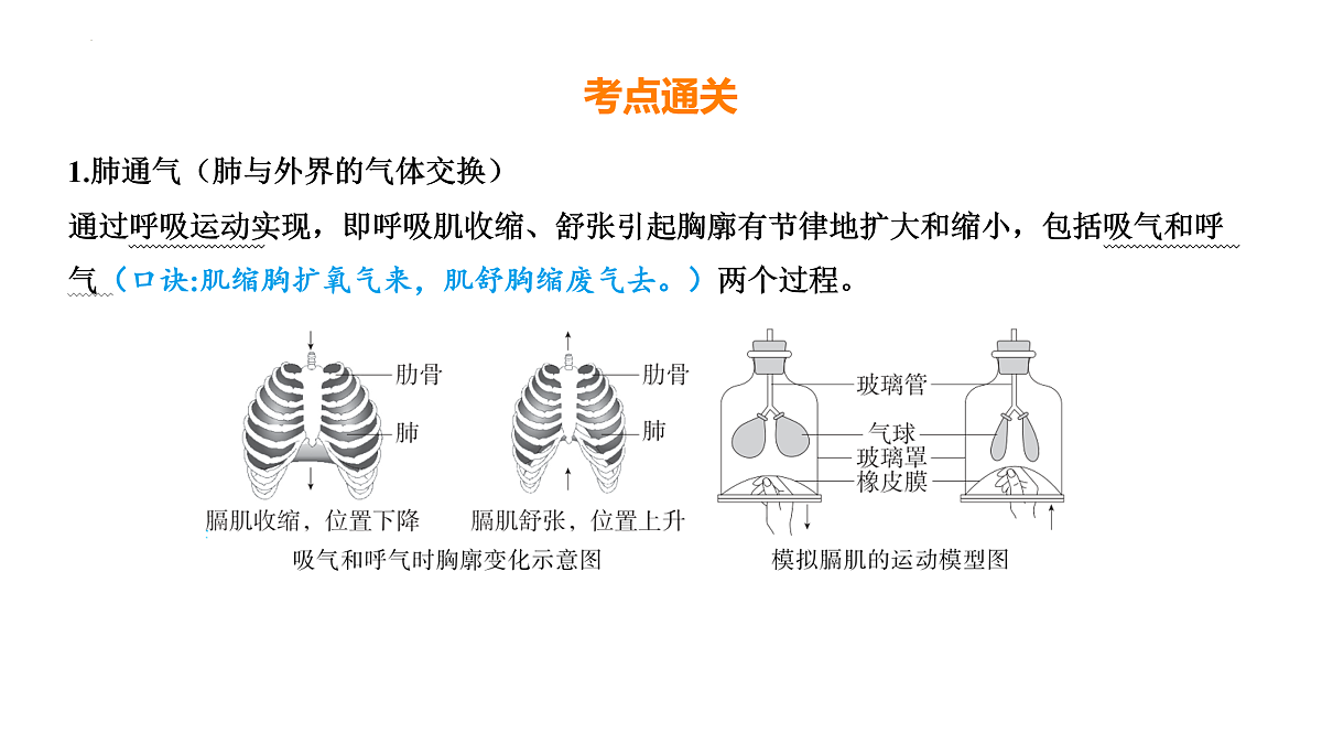 17525625第5页