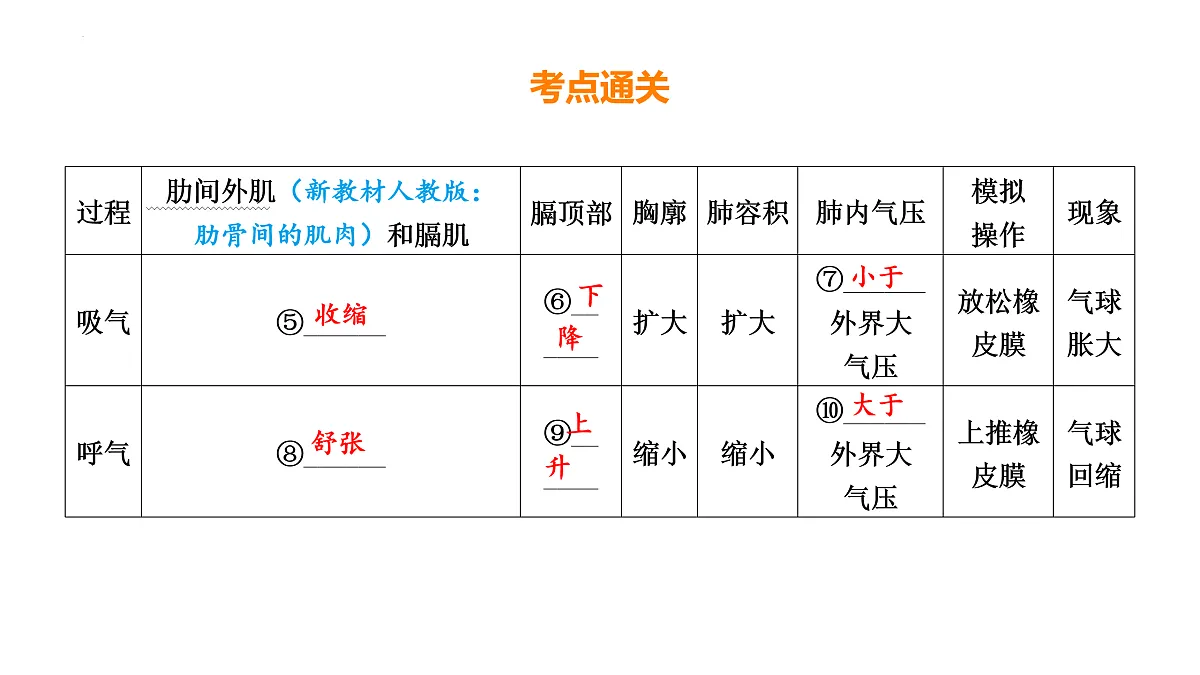17525625第6页