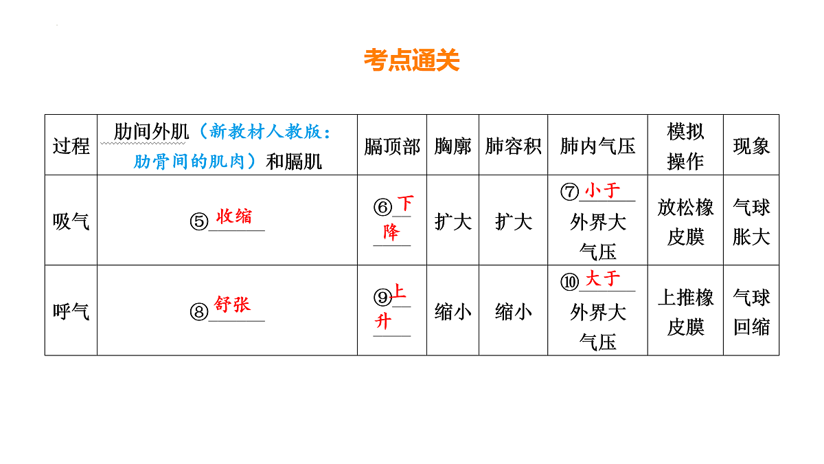 17525625第6页