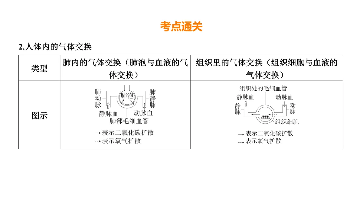 17525625第7页