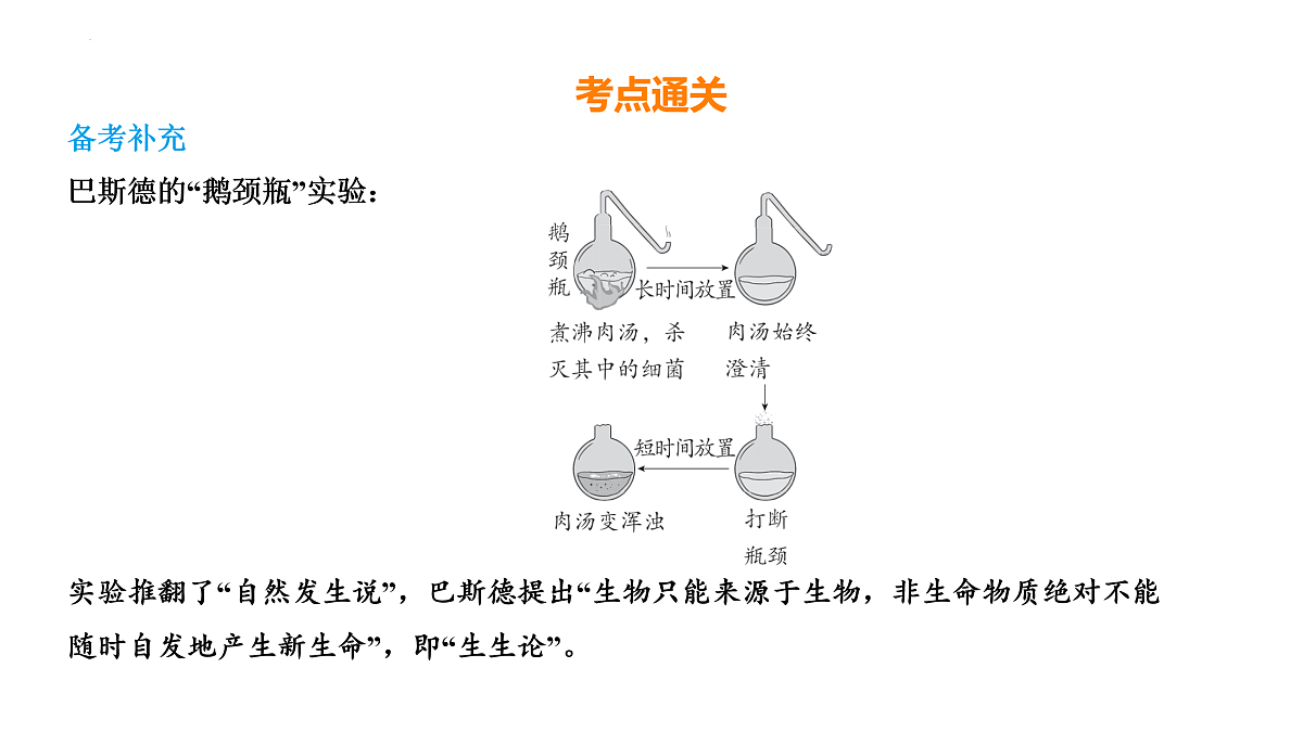 17525629第4页