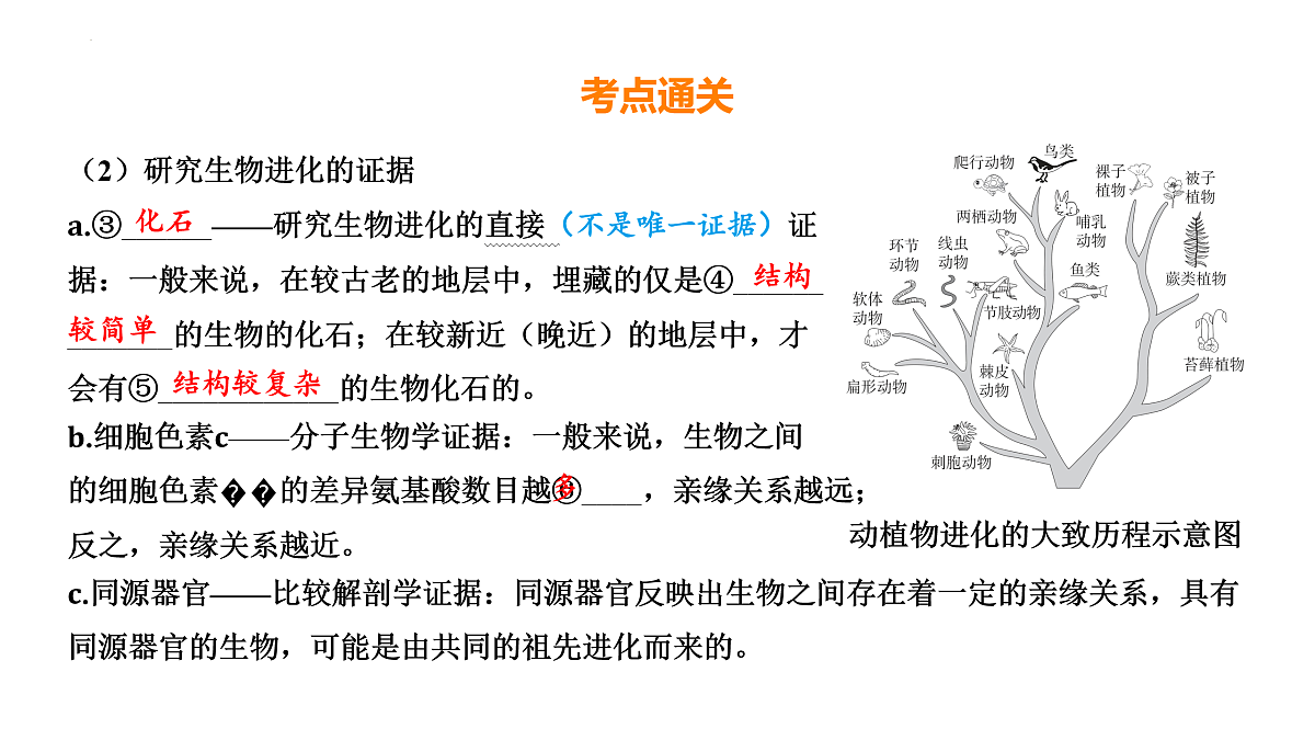 17525629第6页