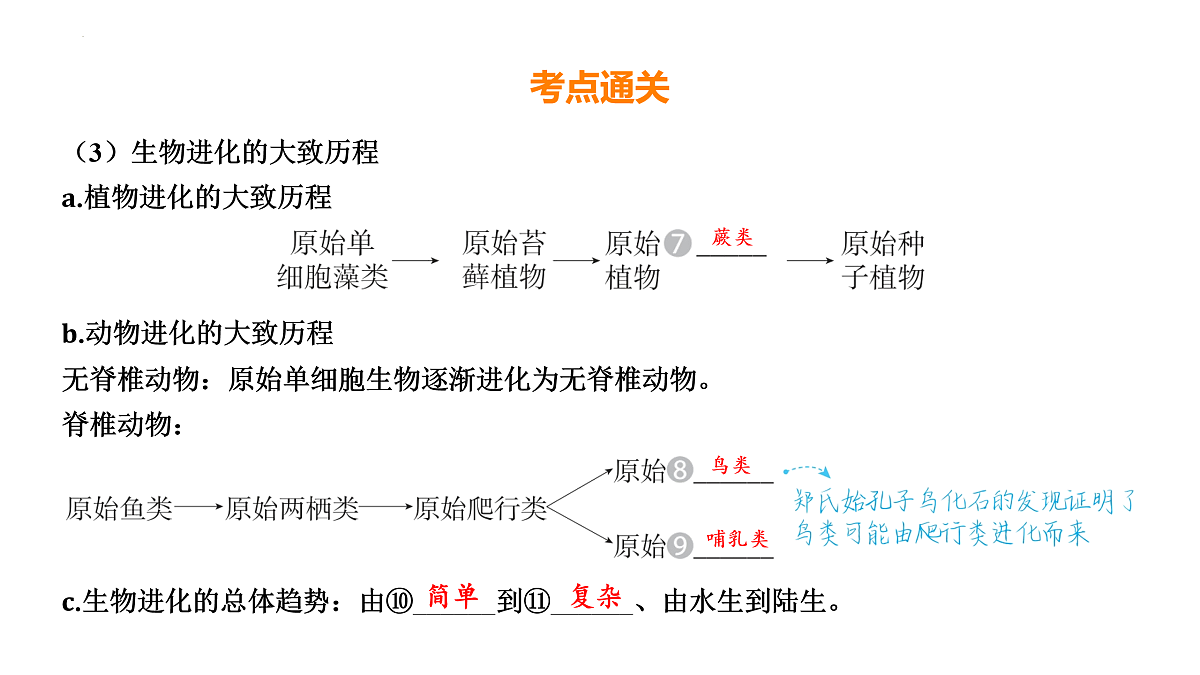 17525629第7页