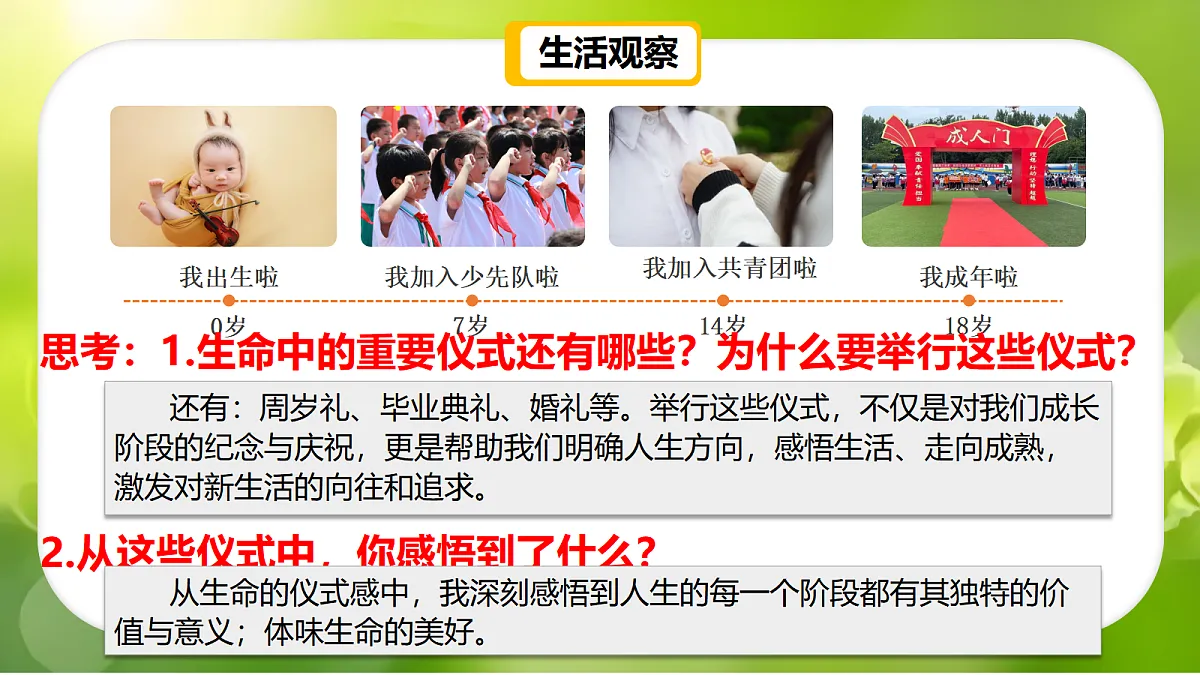 17526149第5页
