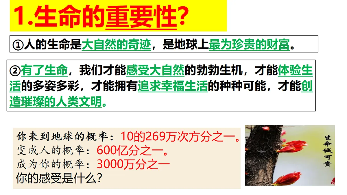 17526149第6页