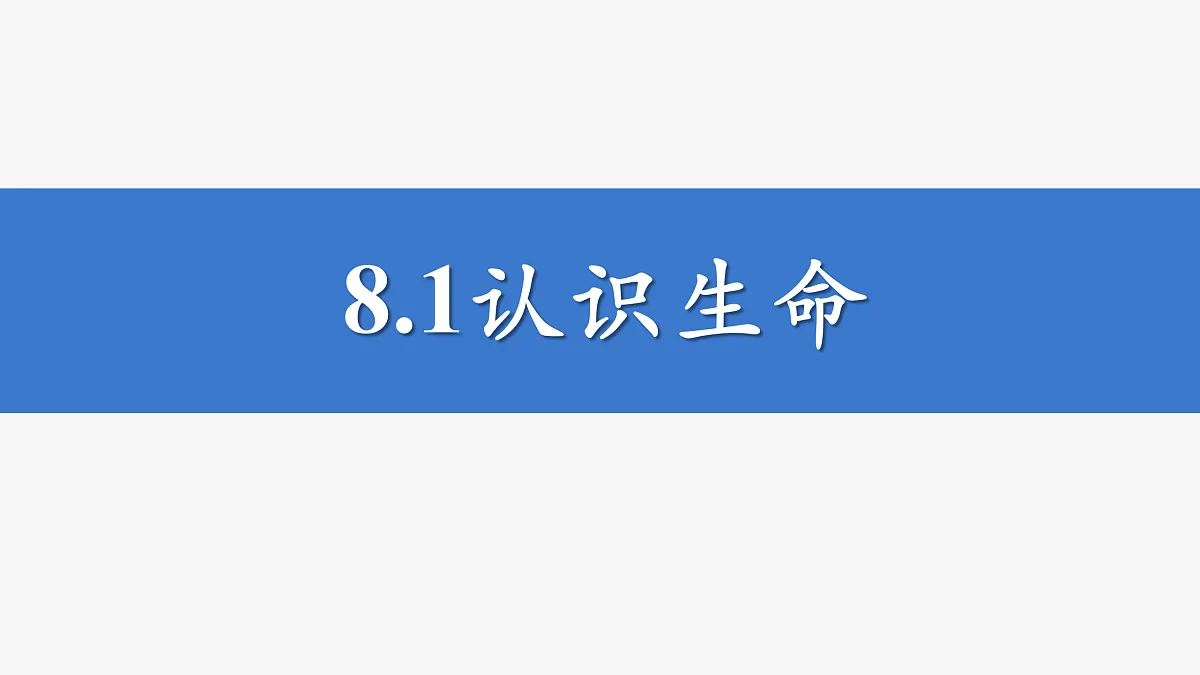 17526151第2页