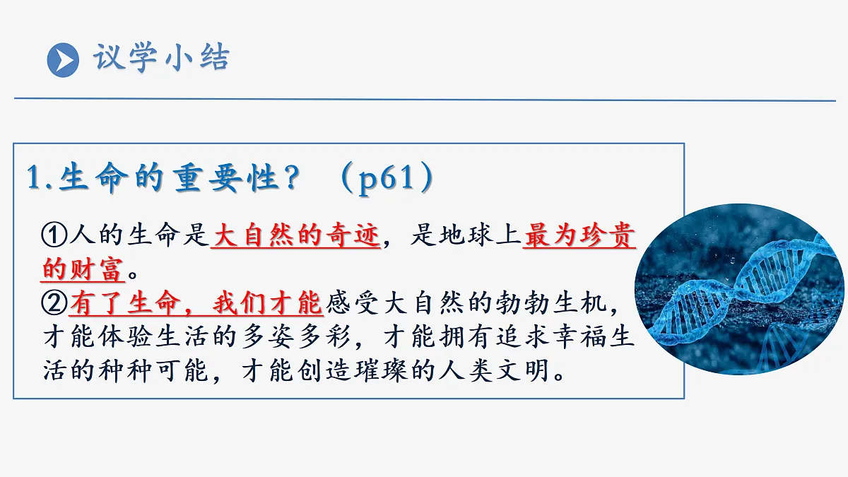 17526151第5页