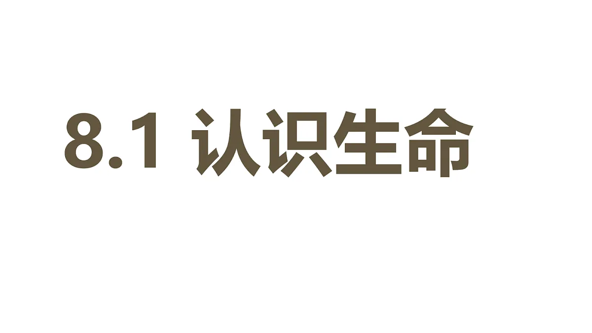 17526152第1页