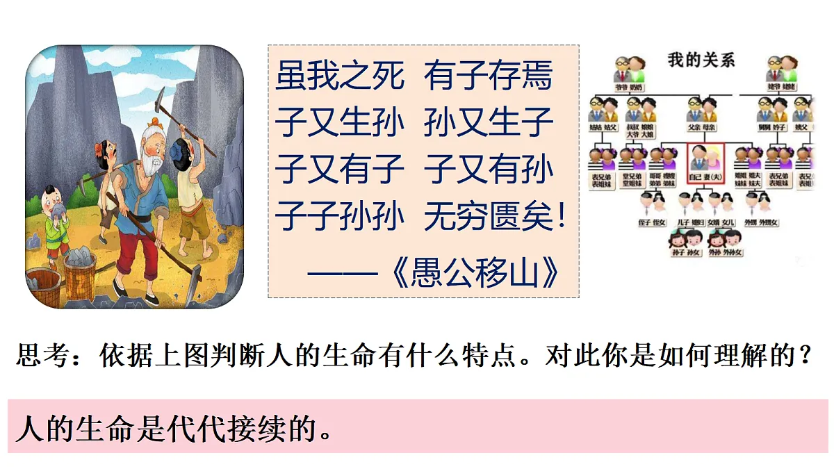 17526152第8页