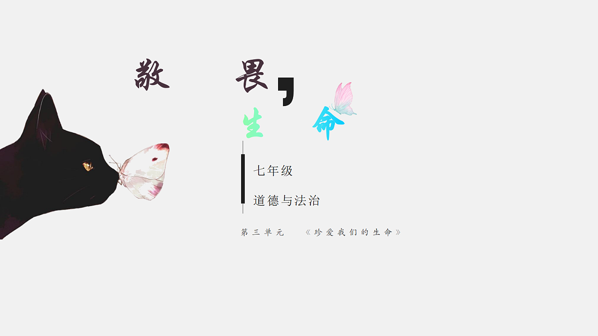 17526155第1页