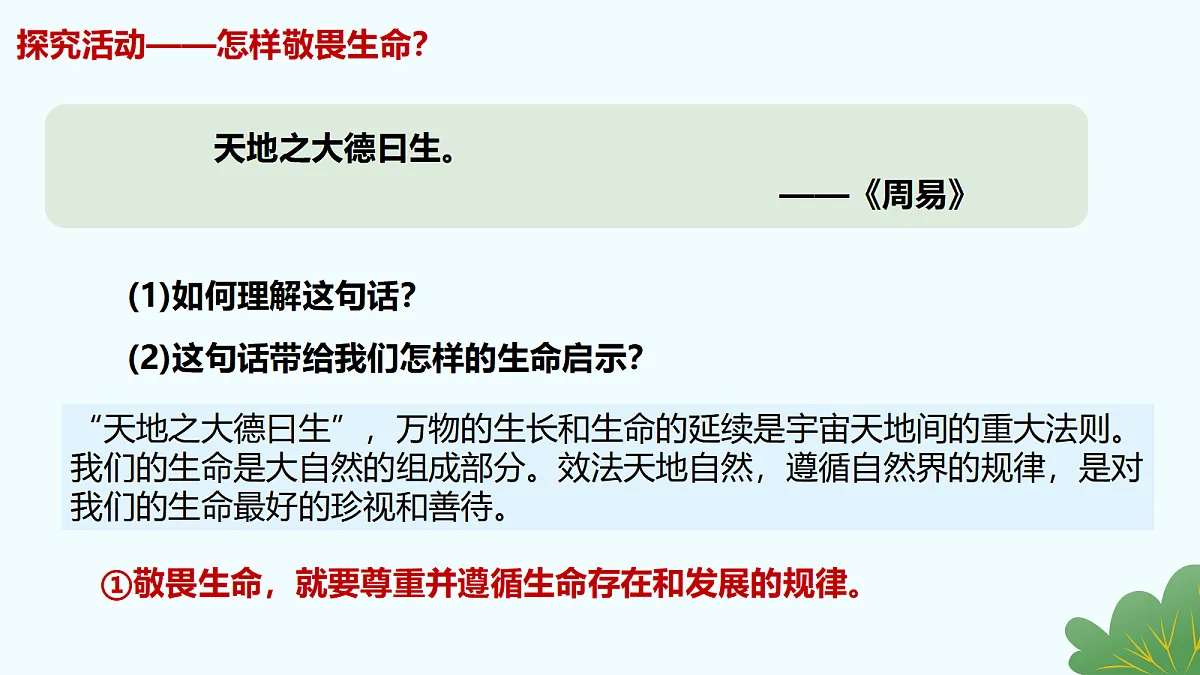 17526156第6页