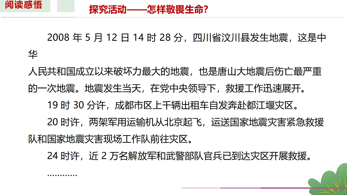 17526156第8页