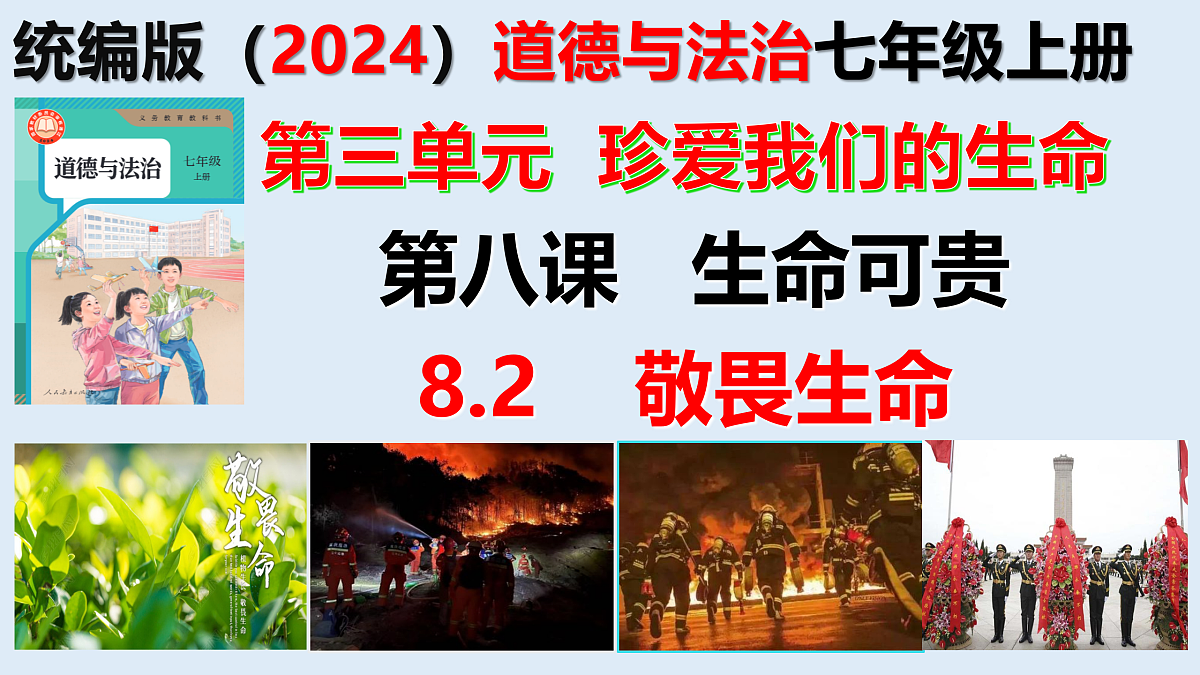 17526157第2页