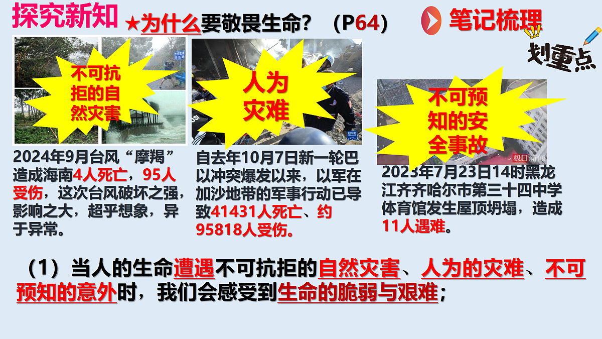 17526157第5页