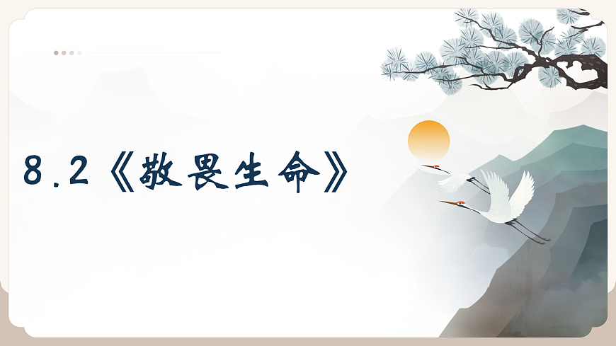 17526158第2页