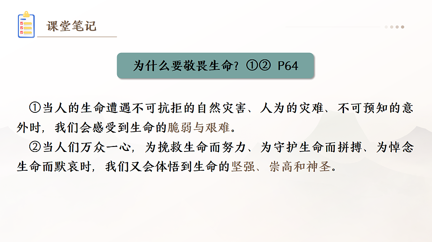 17526158第5页