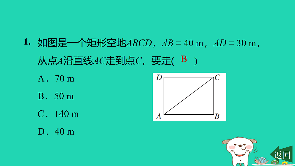 17526480第2页