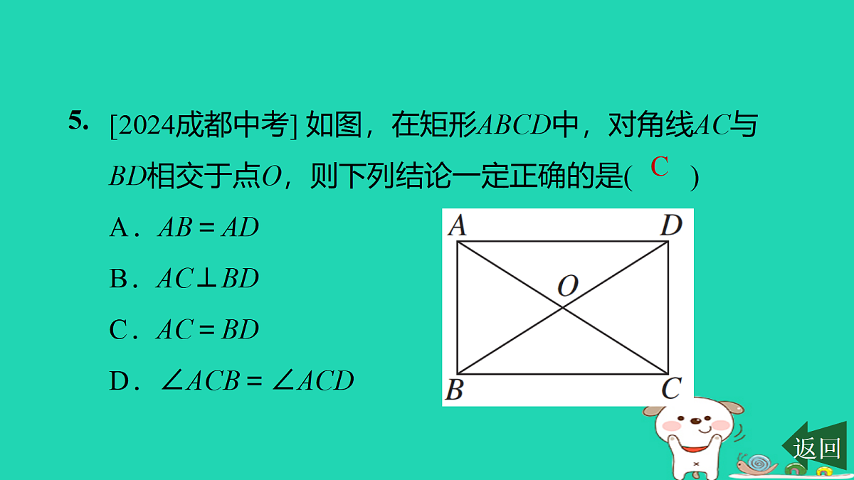 17526480第7页