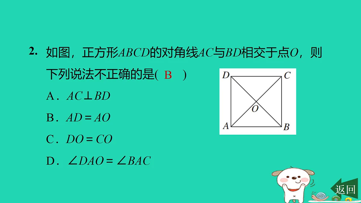 17526482第3页