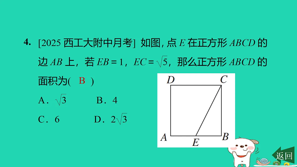 17526482第5页