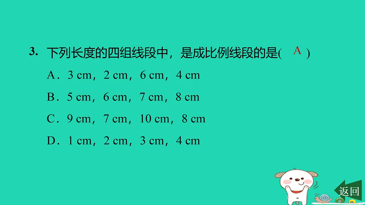 17526498第4页
