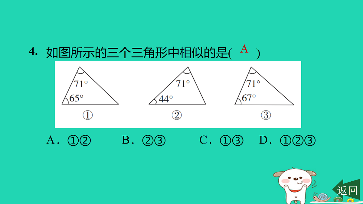 17526502第5页