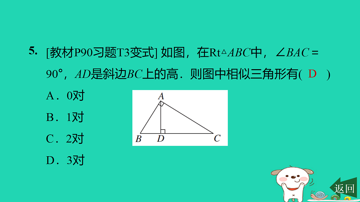 17526502第6页