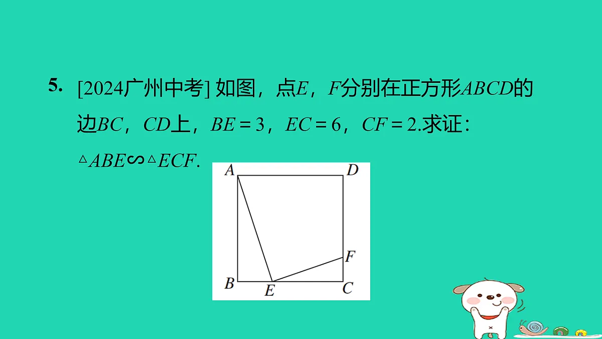 17526503第6页