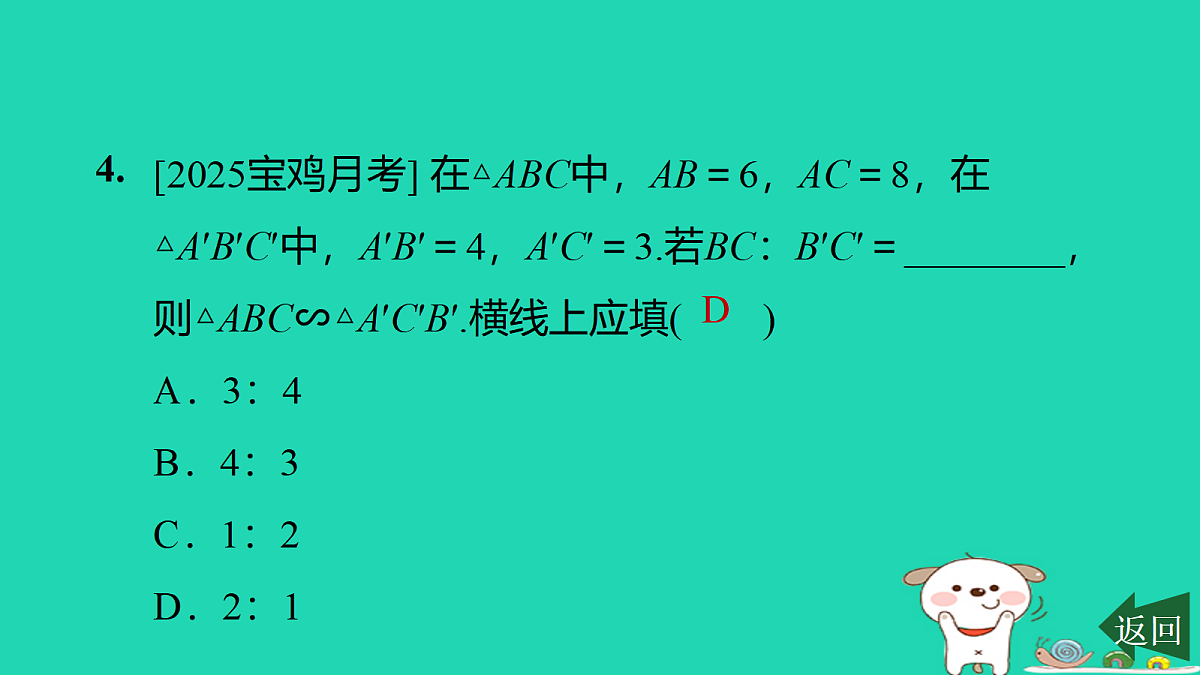 17526504第5页