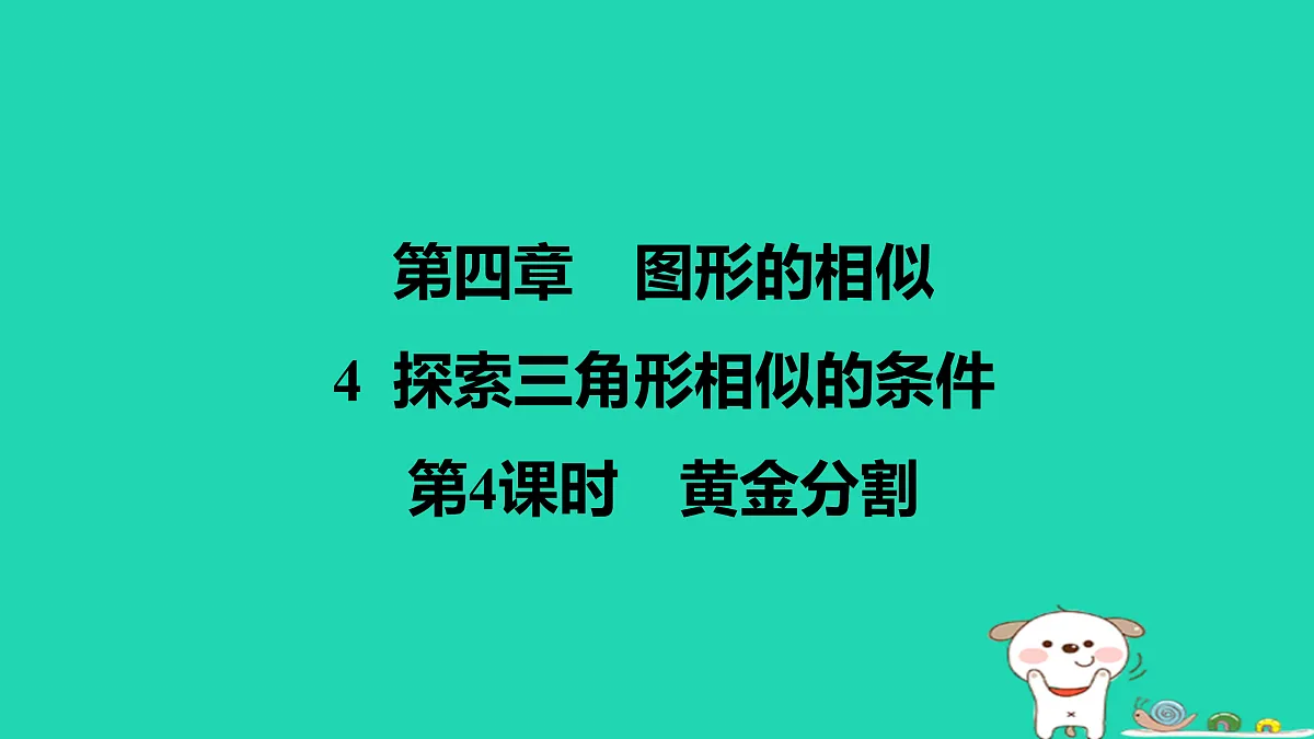 17526505第1页