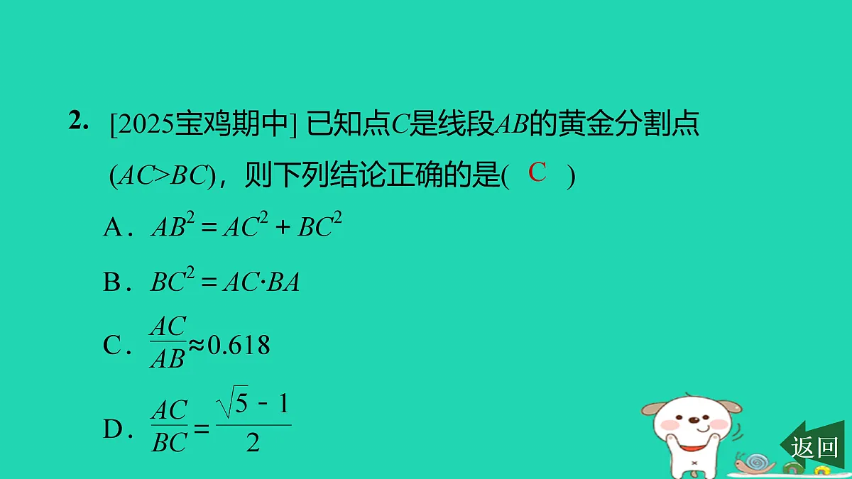 17526505第3页