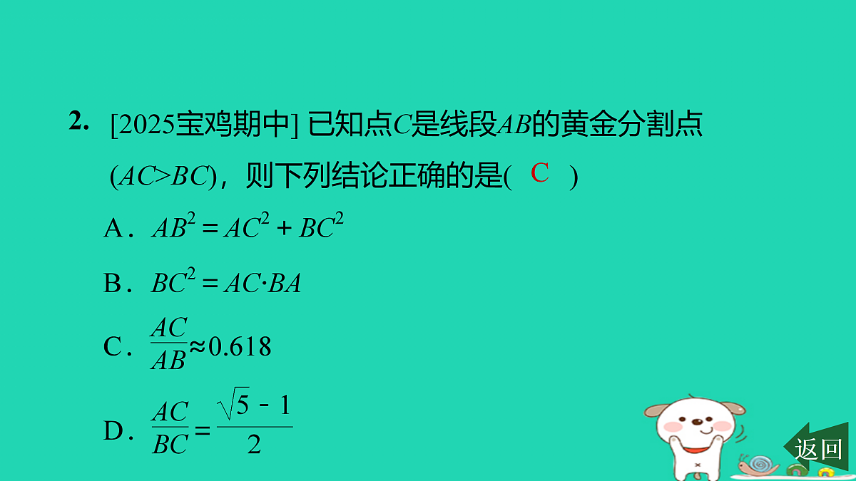 17526505第3页