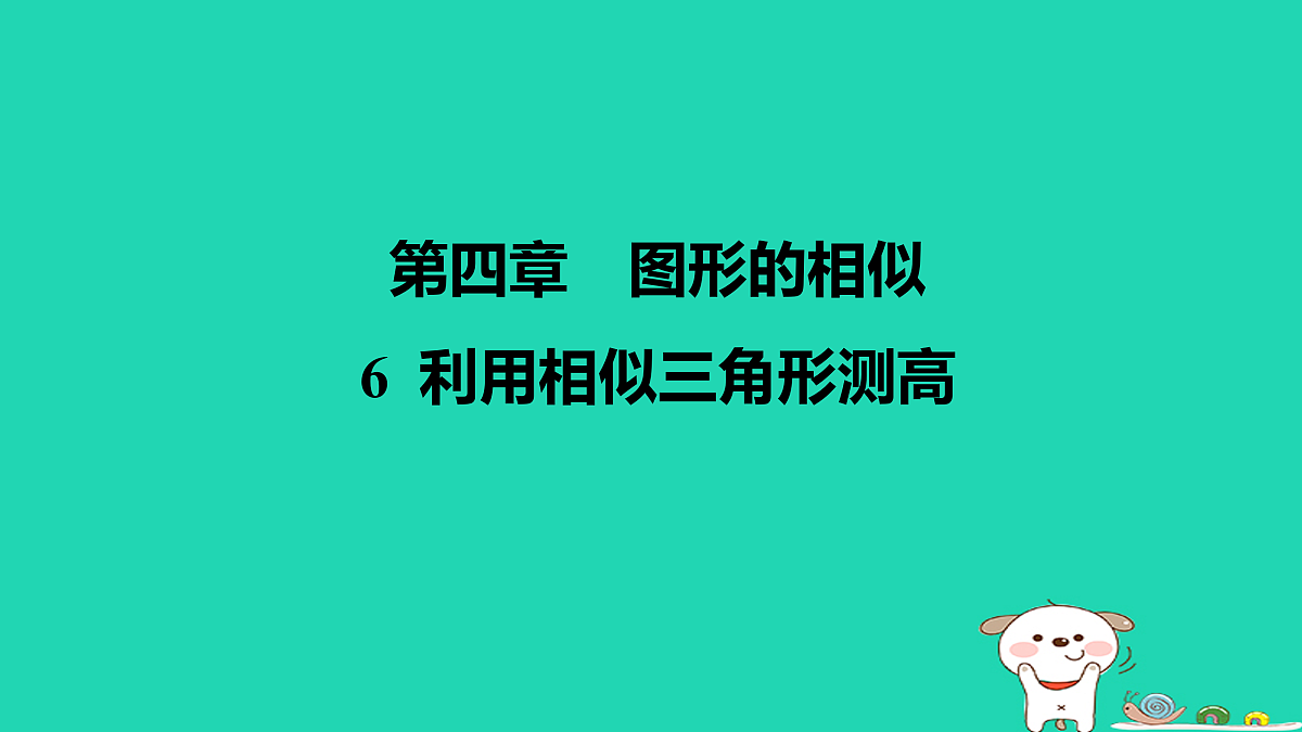 17526507第1页