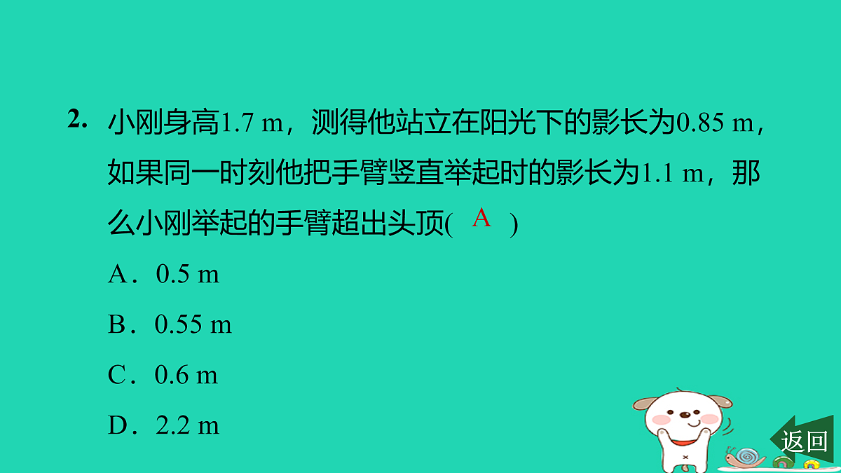 17526507第3页