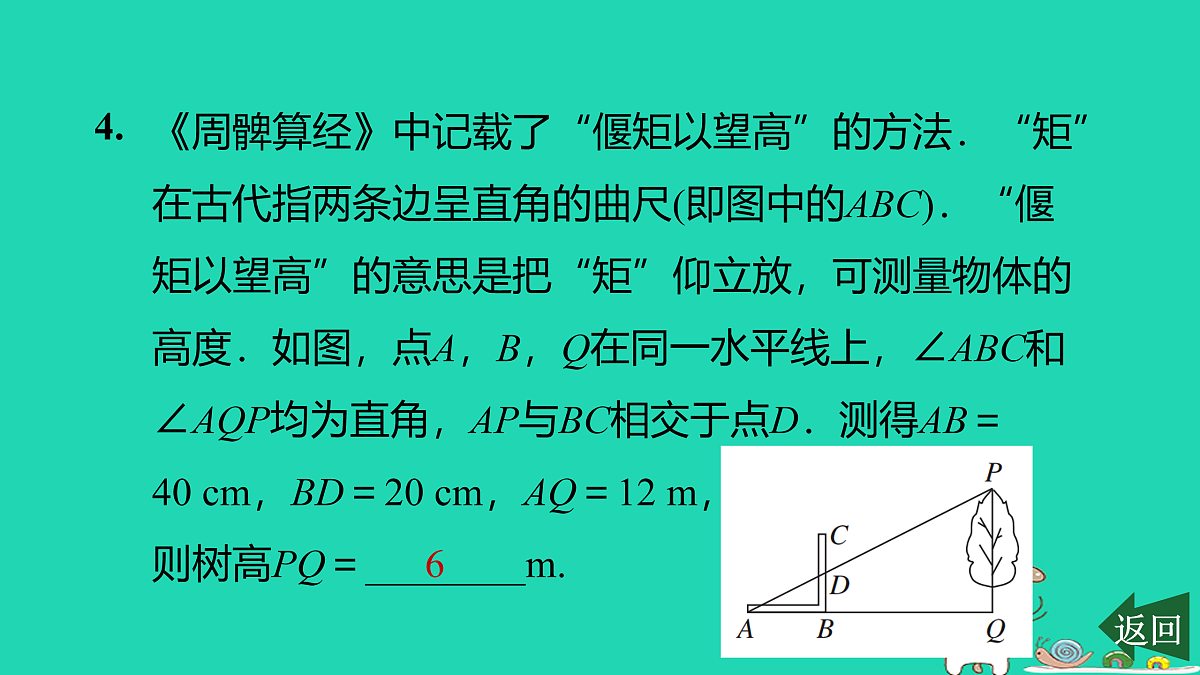 17526507第5页