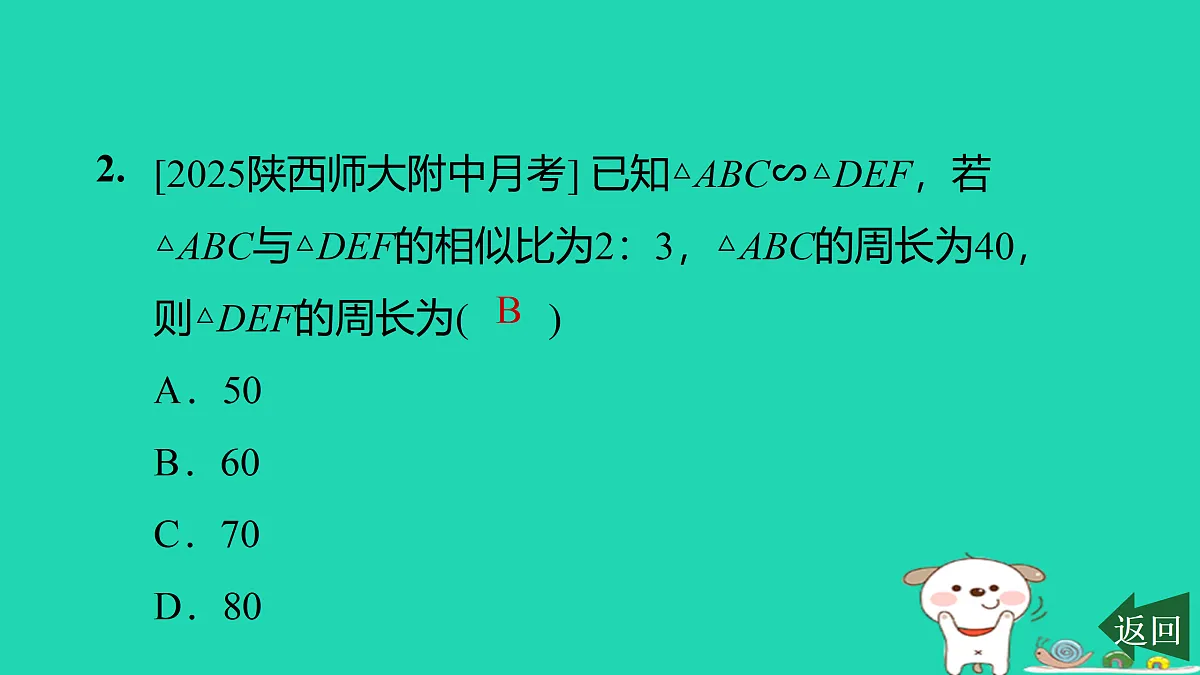 17526509第3页