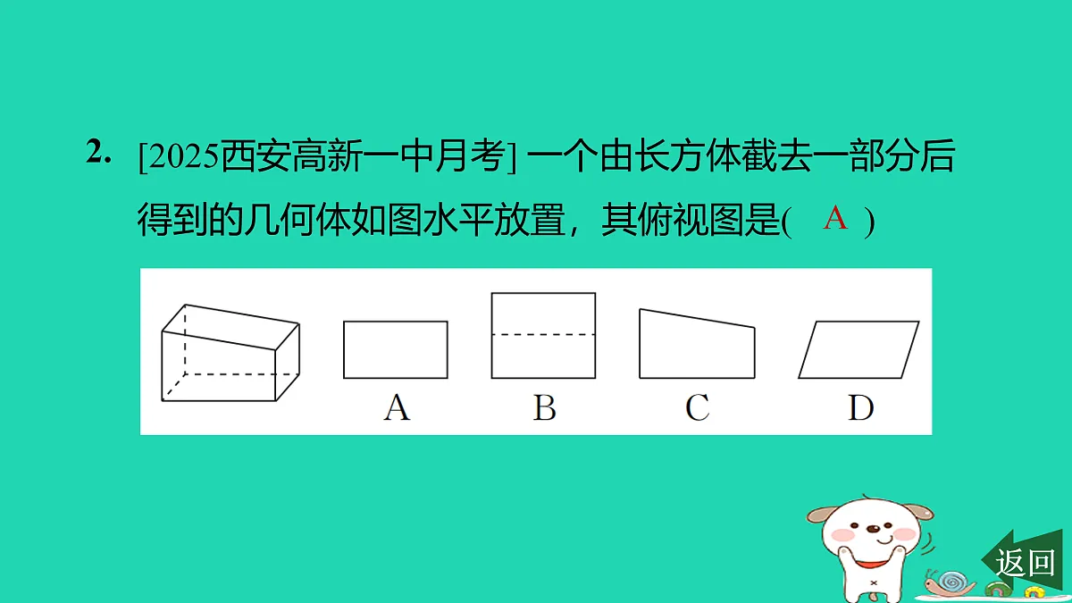 17526517第3页