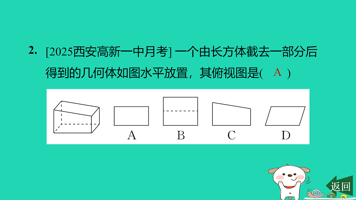 17526517第3页