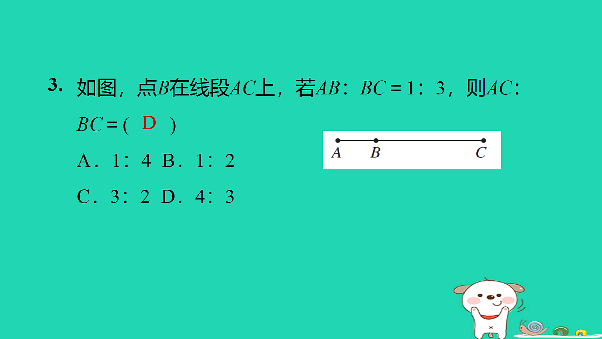 17526552第5页
