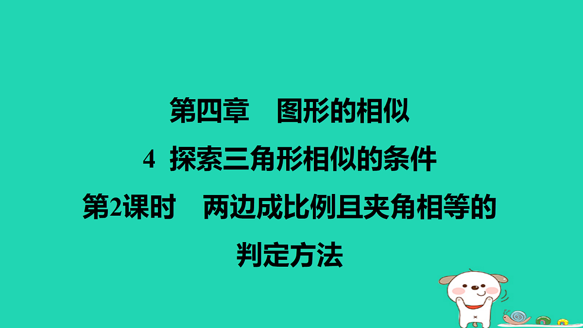 17526557第1页